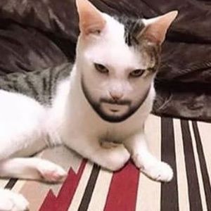 Meet your Posher, Katlyn